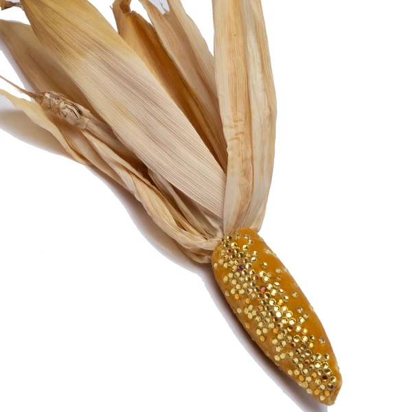 Silk Velvet Corn -Maize w/natural husk | Hot Skwash