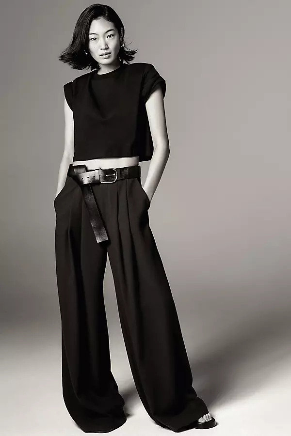 The Avery Pleated Wide-Leg Trousers by Maeve | Anthropologie (US)
