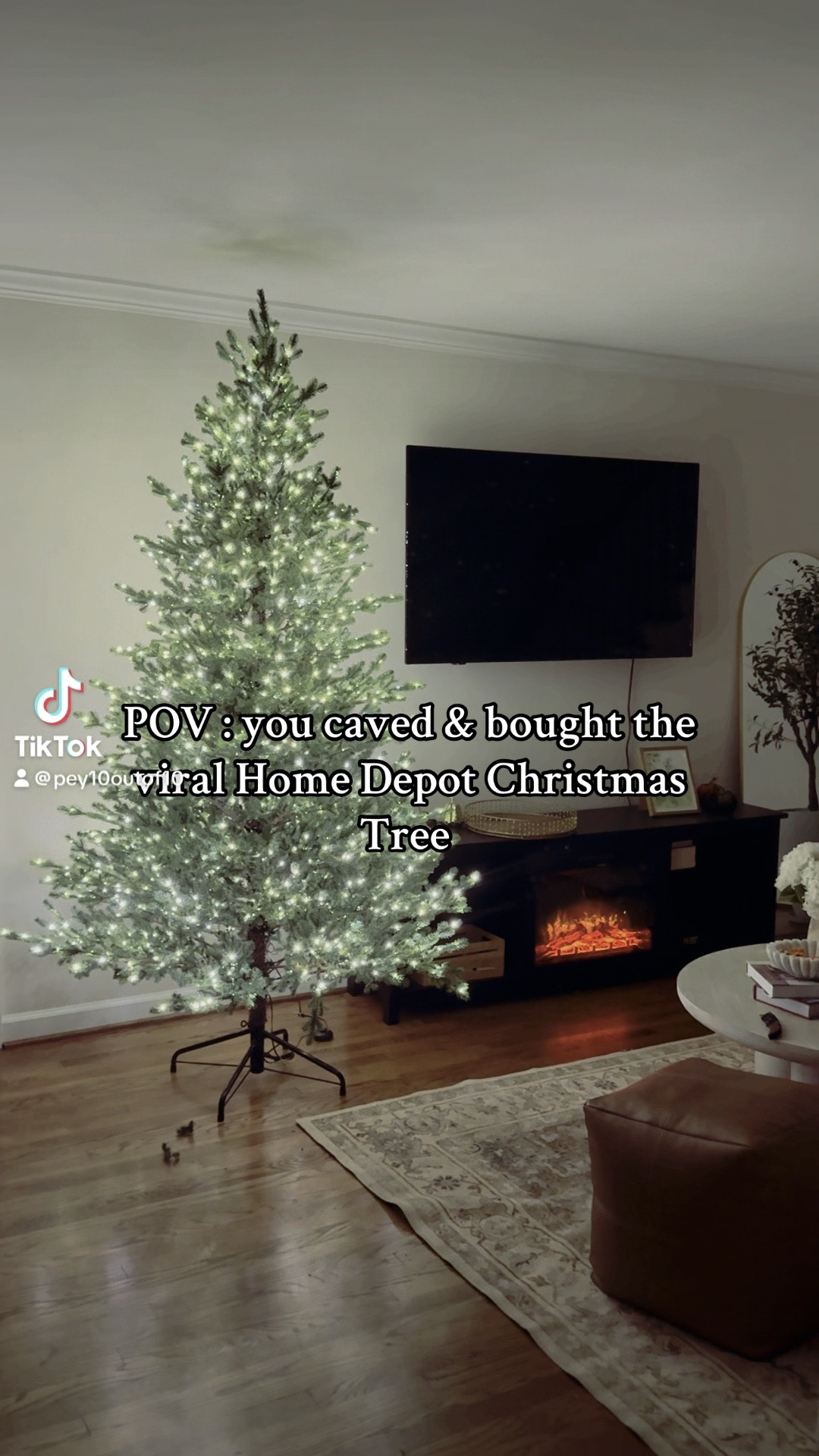 Christmas tree elegant fur Home Depot viral 