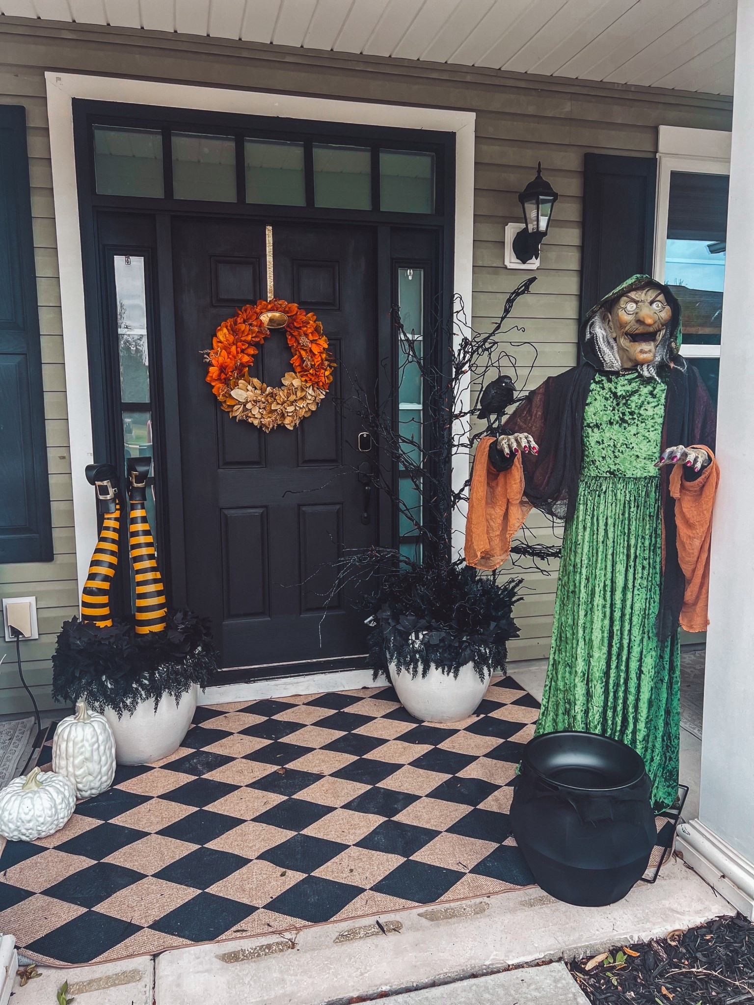 Black and brown diamond pattern rug
Talking animatronic witch
Light up fogging couldron
Decorative halloween witch legs 
Black halloween light up tree 
Fall wreath
White fake pumpkins 