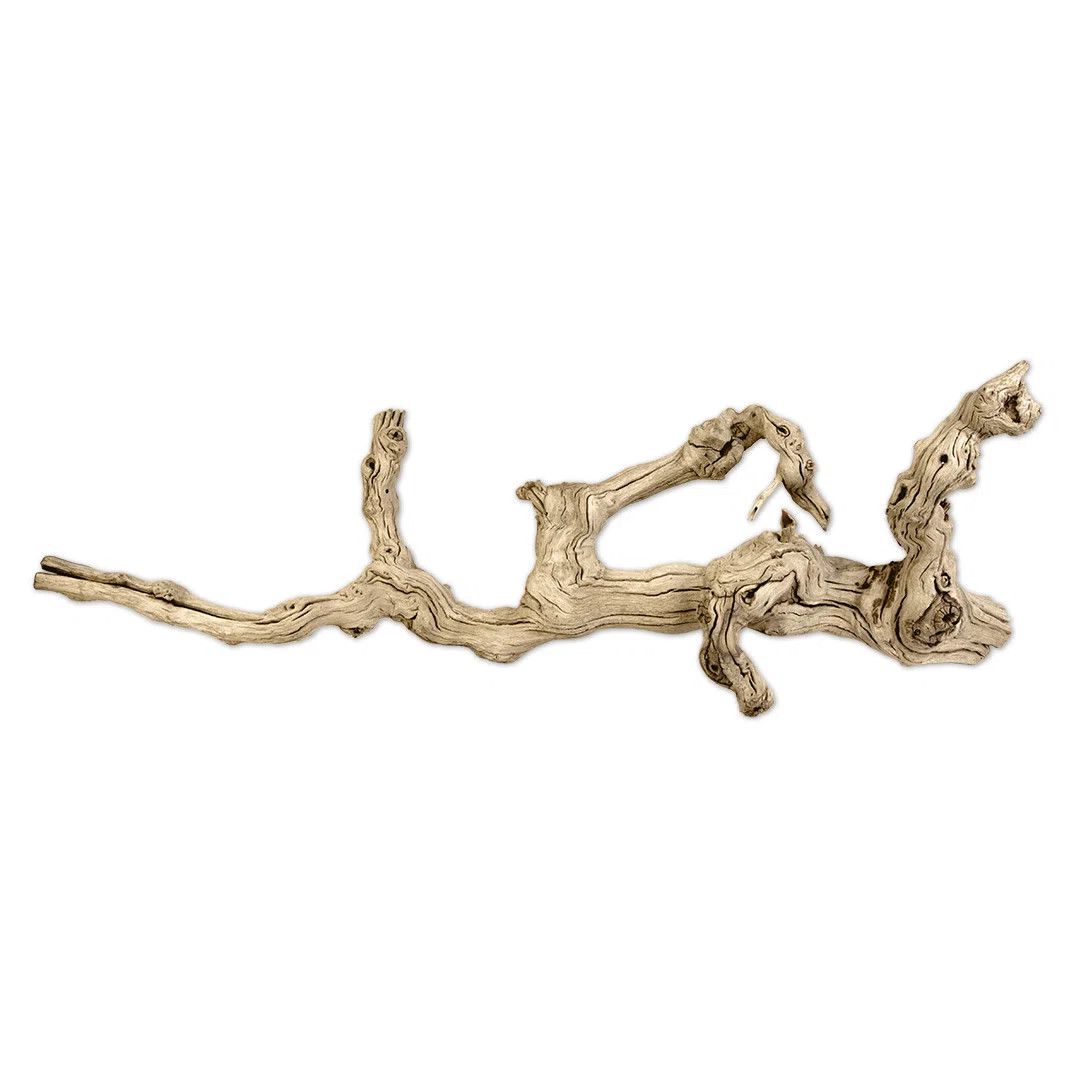 Highland Dunes Alden Decorative Natural Branch Sculpture | Wayfair | Wayfair North America