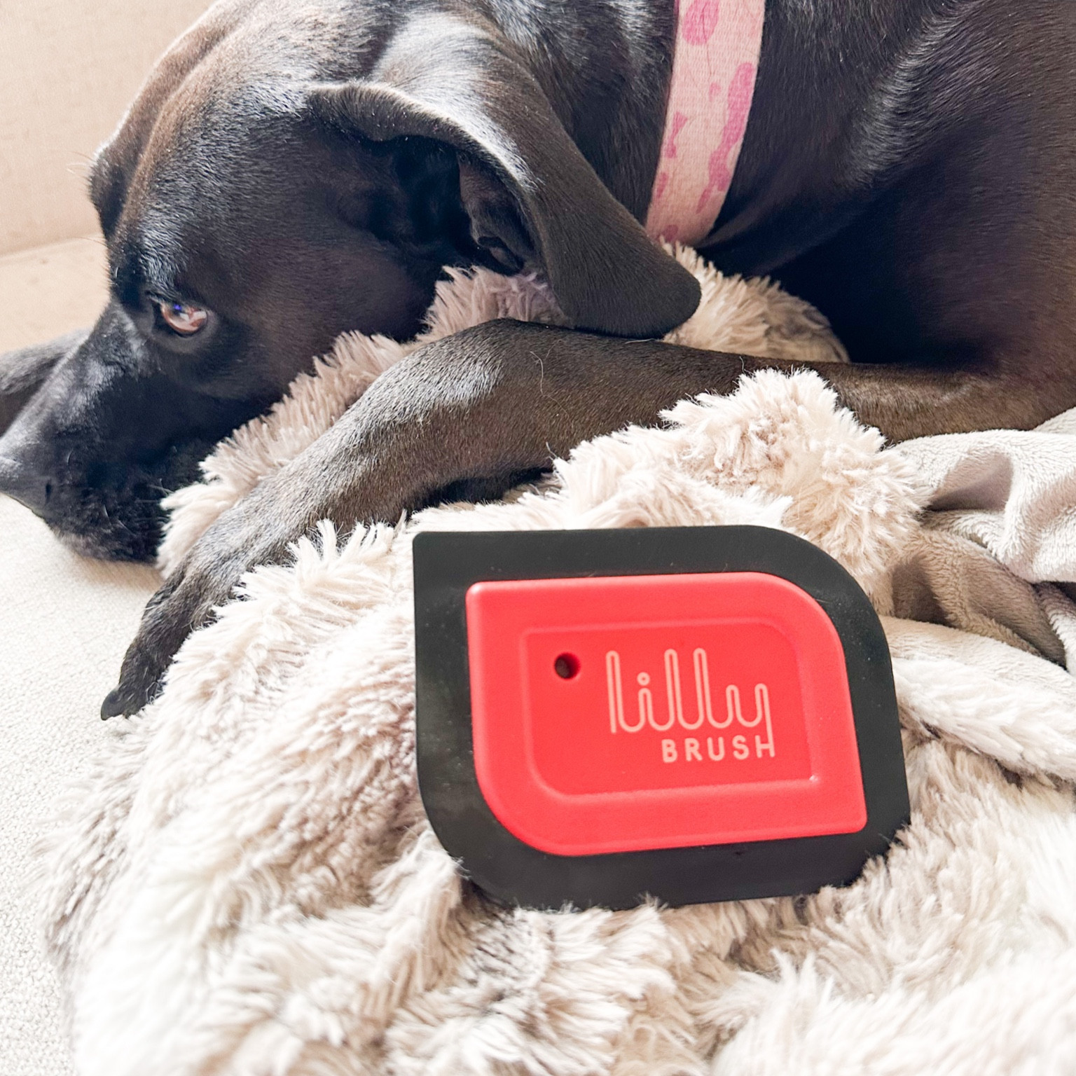 If you have pets, you’ve got to grab this gadget while it’s on sale! 

#LTKxPrime #LTKGiftGuide #LTKhome