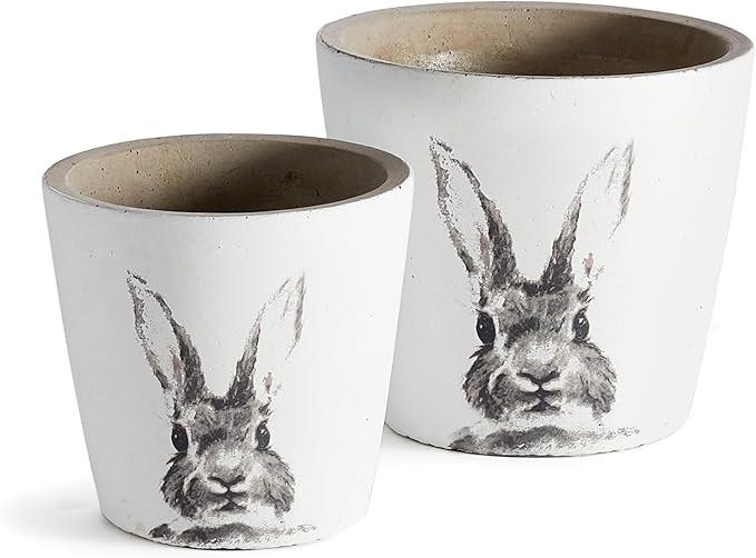 Napa Garden Collection-Rabbit Pots, Set of 2 | Amazon (US)