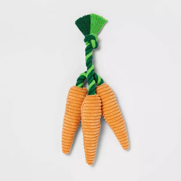 Carrot Plush Dog Toy - Boots & Barkley™ | Target