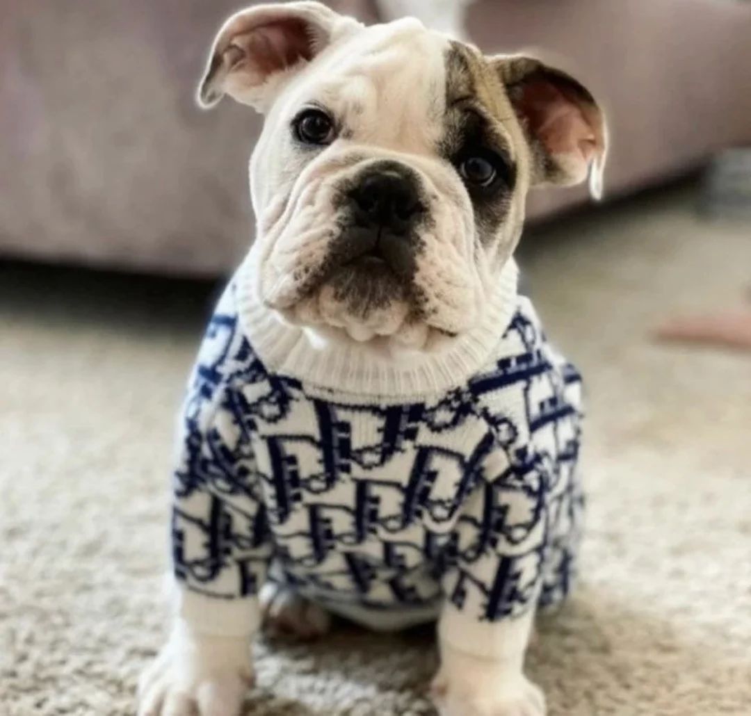 Printed Logo Dog Sweater | Etsy (US)
