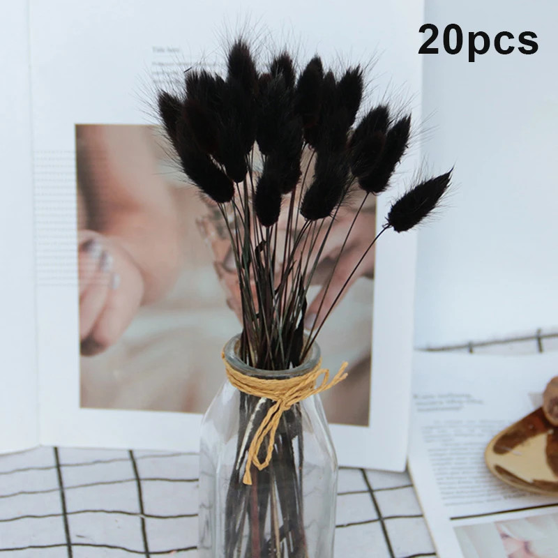 39.45R$ 50% de desconto|20 pçs coelho cauda grama natural flores secas para decoração de casa ... | Ali Express BR