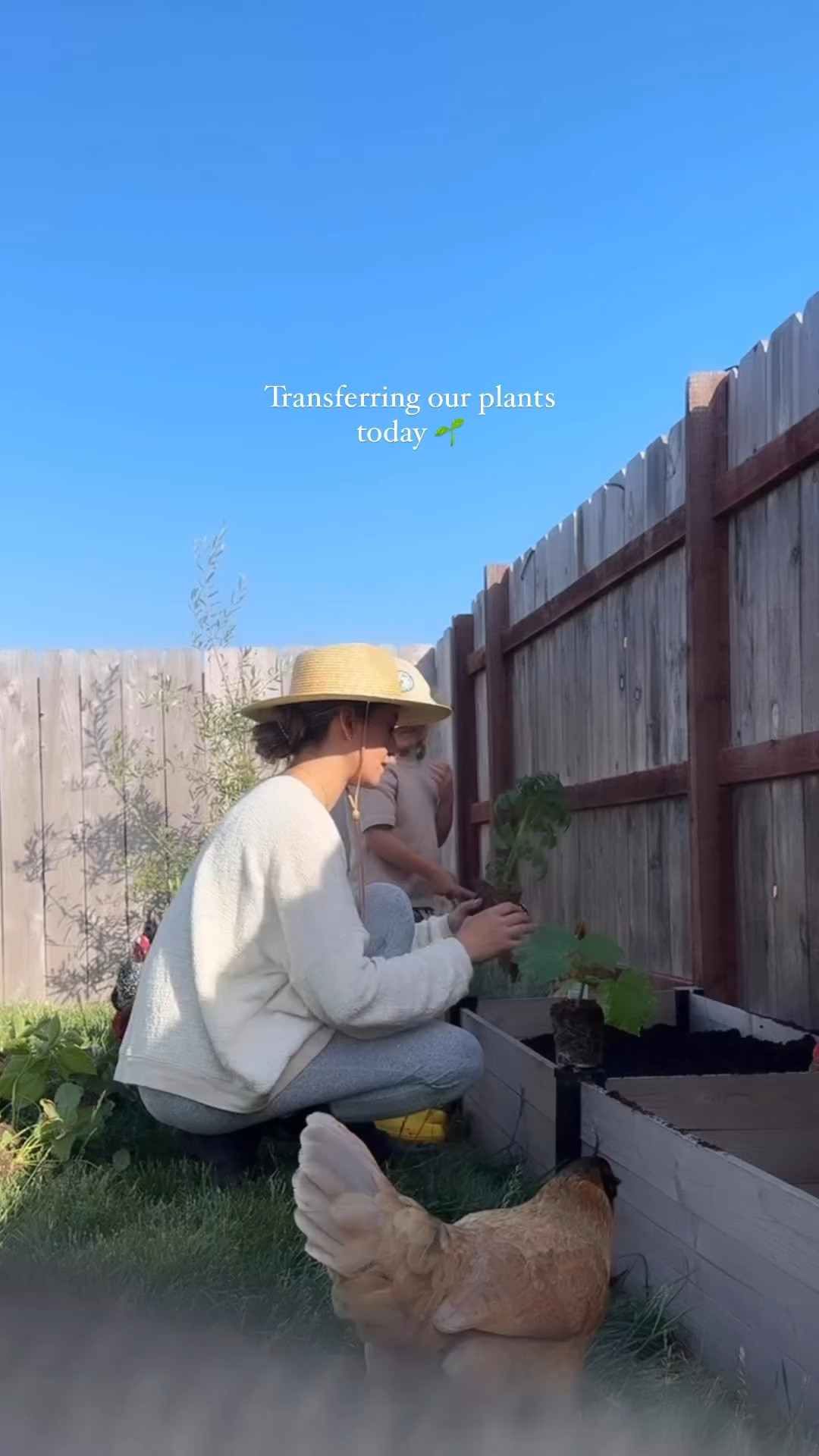 hat of the summer for me 👒

#LTKBeauty #LTKStyleTip #LTKSeasonal