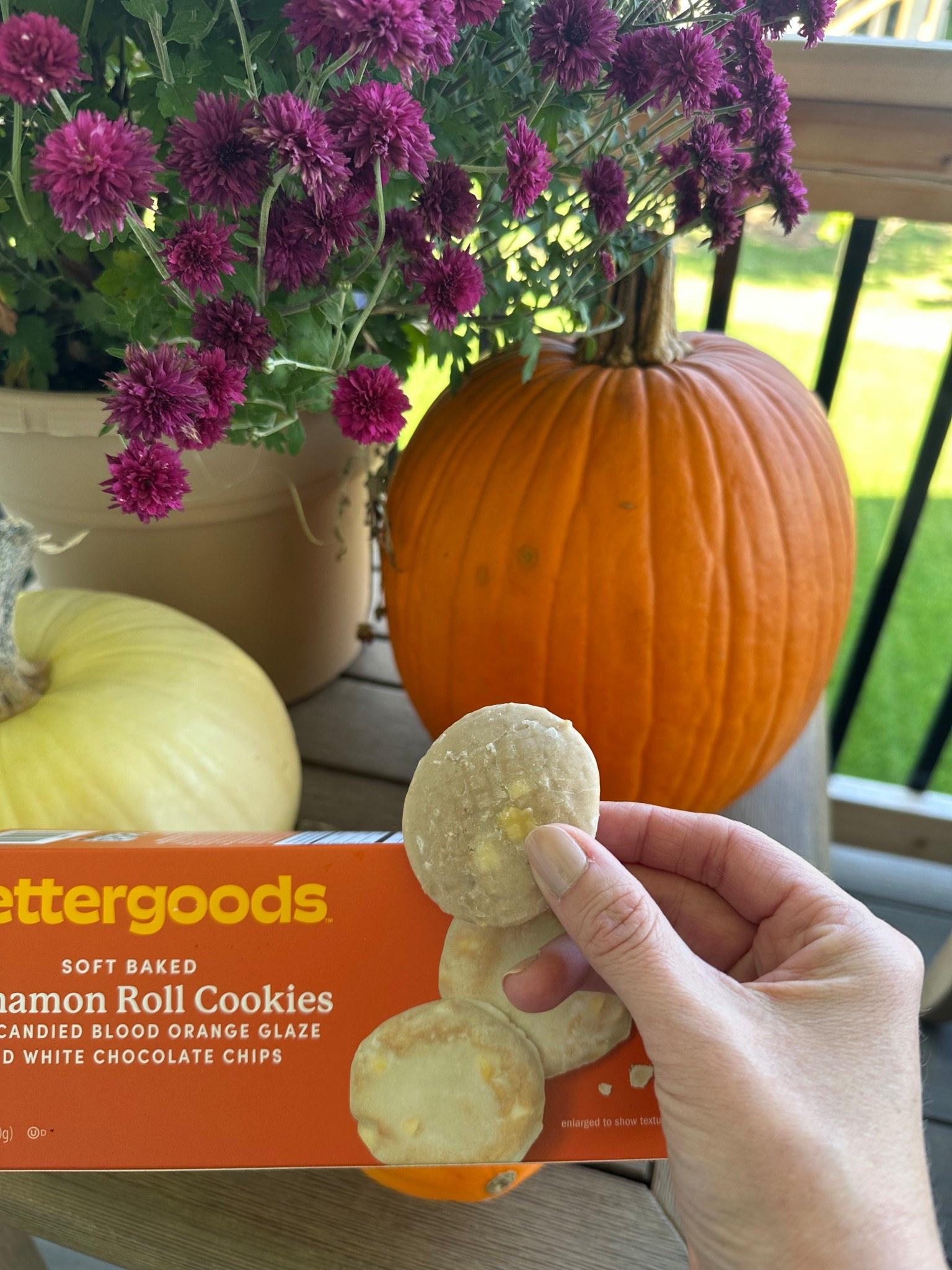 Loving these cookies. Perfect for the season 

#LTKHalloween #LTKSeasonal #LTKSaleAlert