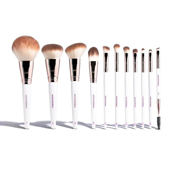 Professional Antimicrobial Brush Set (11) | Derma Beauty