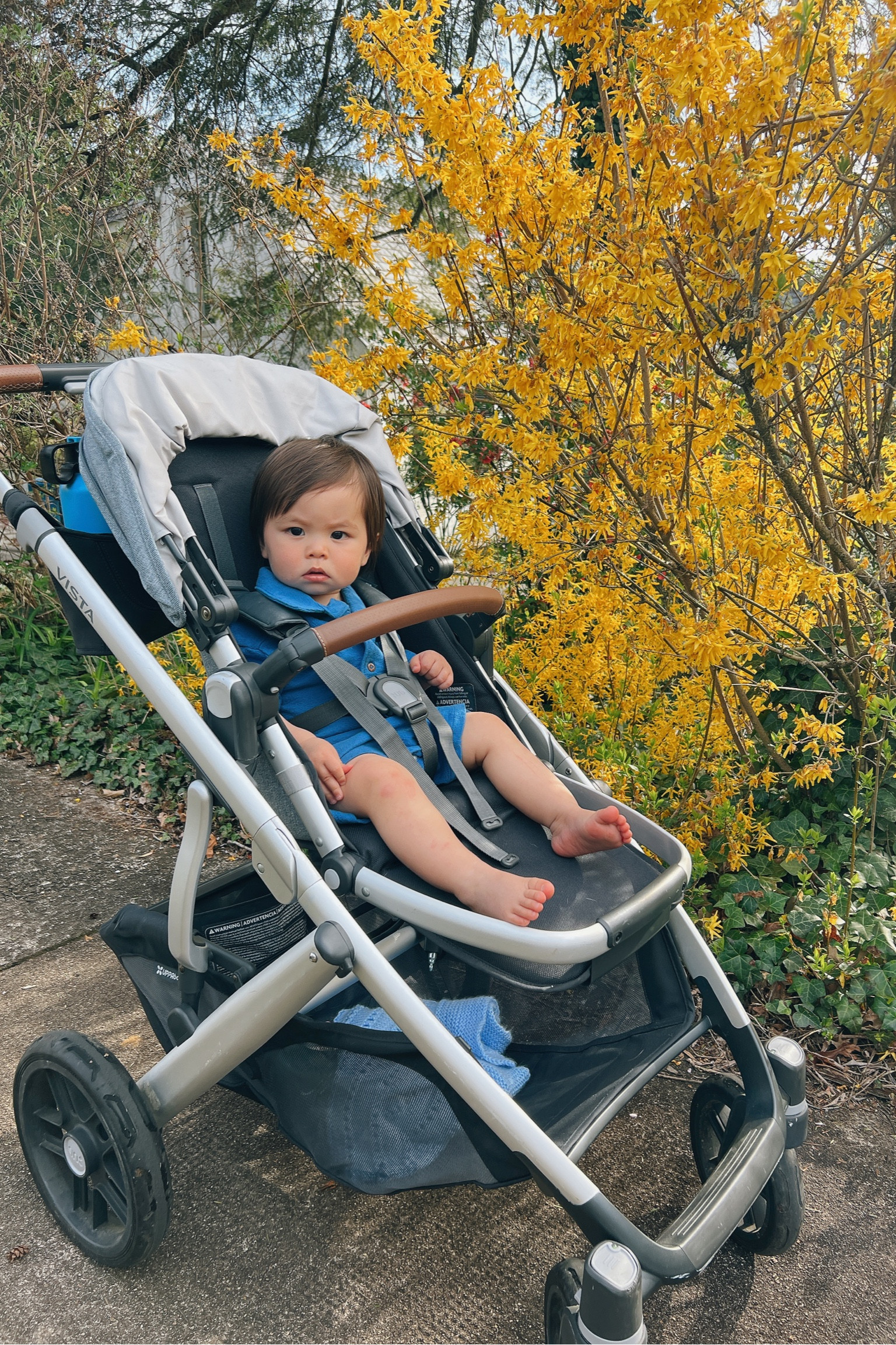 Obsessed with my uppababy vista stroller. Rides so smooth and so much storage below. I used it as my shopping cart a lot when Eller was a newborn!

#LTKfamily #LTKbump #LTKbaby