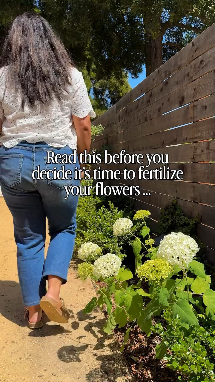 If you are a beginner gardener, you’ve probably read somewhere that you should “fertilize in early spring” but this can be misleading.

Because early spring doesn’t look the same everywhere.

If you live somewhere with mild winters, your plants may already be ready in February. If you still have snow on the ground come early Spring, it’s probably too soon.

The real signal to watch for isn’t the calendar. It’s new growth.

When plants start pushing out fresh leaves and stems, that’s your cue that they’re waking up and ready for nutrients.

So instead of fertilizing by the date, fertilize when your plants show you they’re ready.

Follow for more beginner gardening tips like this, cozy home ideas, and simple ways to create a home that sparks joy.