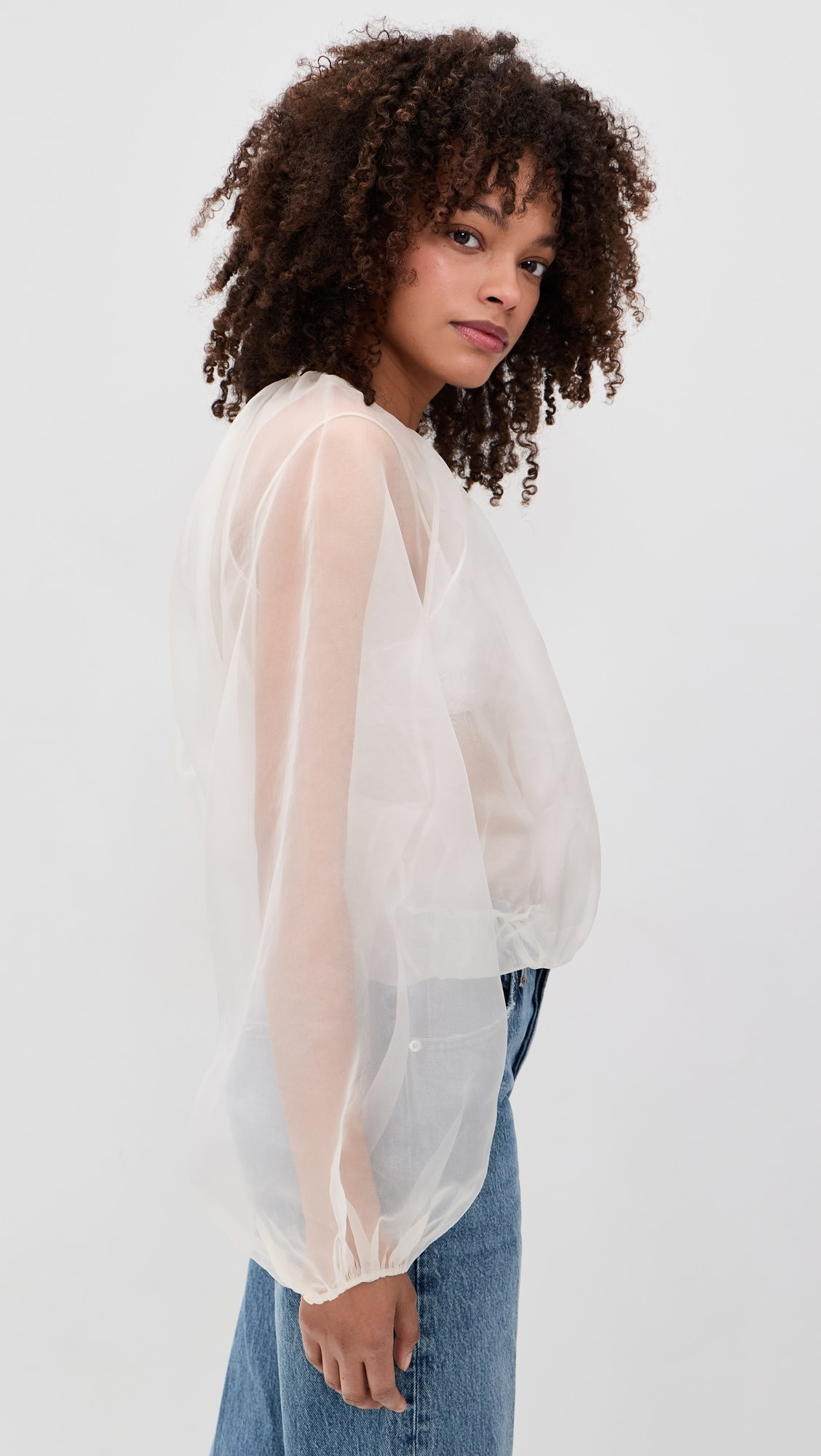 The Sheer Balloon Blouse | Shopbop