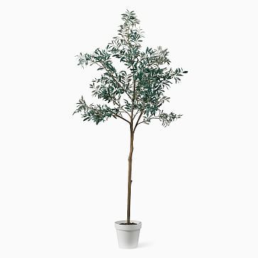 Faux Potted Olive Tree | West Elm (US)