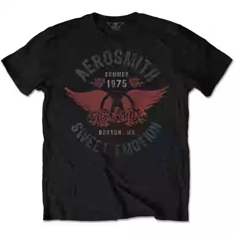 Men's Aerosmith Sweet Emotion Slim Fit T-shirt Large Black | Walmart (US)