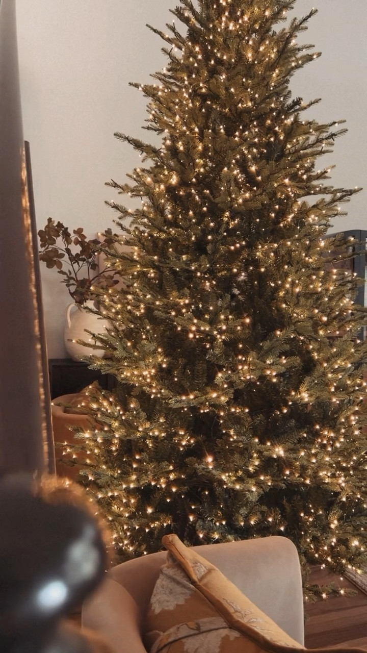 We snagged the viral Home Depot tree & I am IN LOVE!!✨She’s perfect & she’s not even done up yet! This is the 9 ft & it’s still IN STOCK!

Christmas Tree | Christmas Decor | Holiday Decor

#LTKHoliday #LTKSeasonal #LTKHome