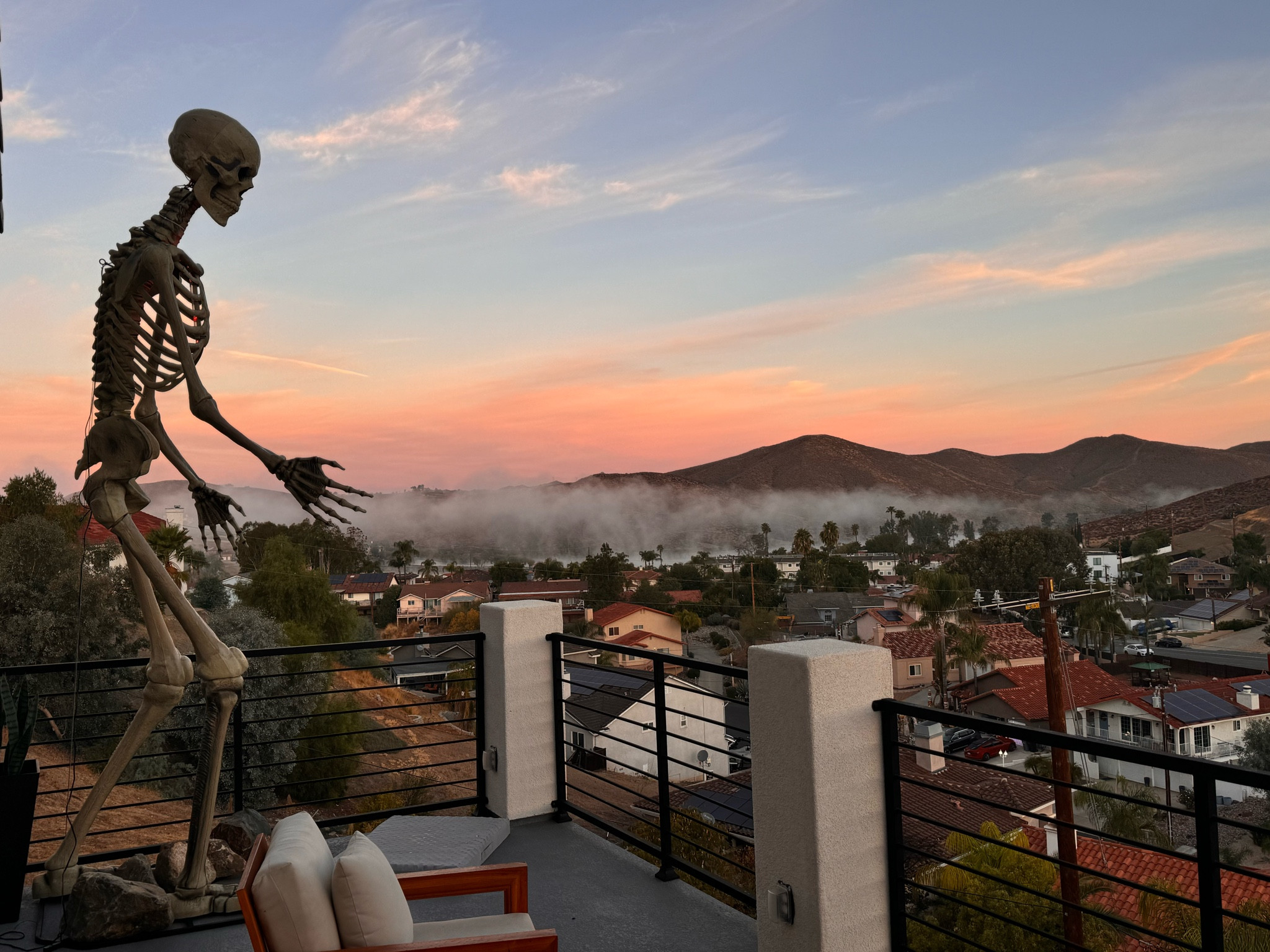 12 foot Skeleton 💀 DM me if it’s out of stock 

#LTKSeasonal #LTKHoliday #LTKHome