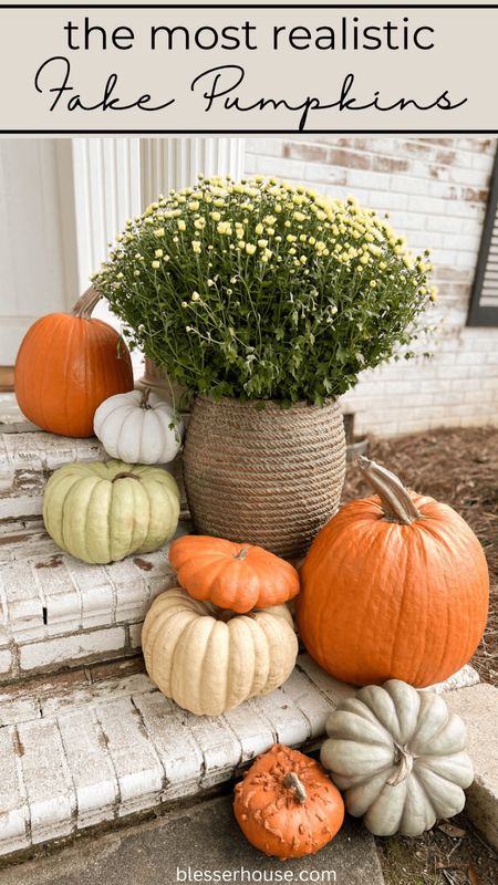 No one will know your pumpkins are fake! How to make pumpkin last longer? Buy these resin & realistic pumpkins and they’ll last years!!

Polyresin Pumpkin Decoration, porch decor, outdoor pumpkin, fall porch, home

#LTKFind #LTKhome #LTKSeasonal