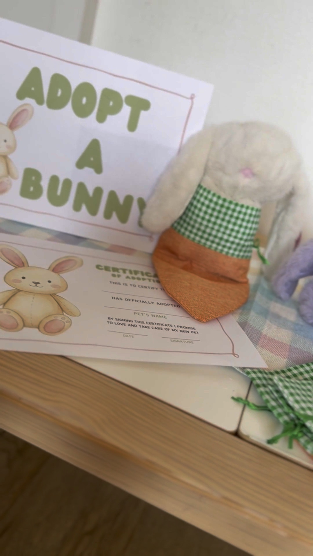 Little Easter party favors for toddlers or little kids, $5 little bunnies that are to die for and a great alternative over Easter egg hunt 

I made the sign and adoption certificate on canva 

#LTKKids #LTKmomlife #LTKSeasonal