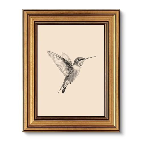 VIYYIEA Vintage Gold Framed Wall Art for Living Room, Birds Canvas Prints Home Decor, Sketch Painting Picture, Bedroom Wall Decor Gifts for Friends or Family -【Hummingbird】-(10L x 8W) | Amazon (US)