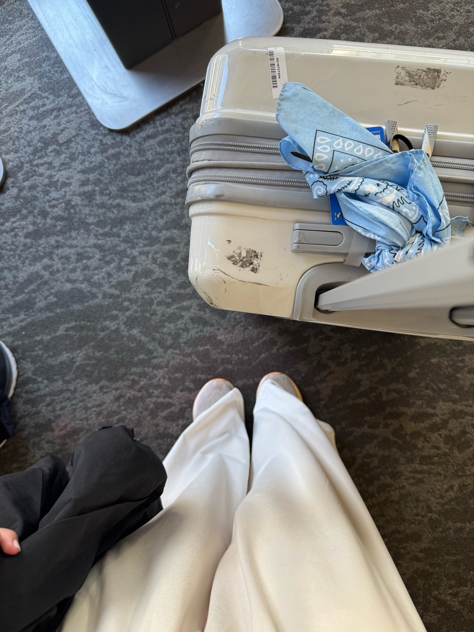 softest travel fit ✈️

#LTKTravel