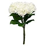 Softflame Artificial / Fake / Faux Flowers - Hydrangea White 4PCS for Wedding, Home, Party, Restaura | Amazon (US)
