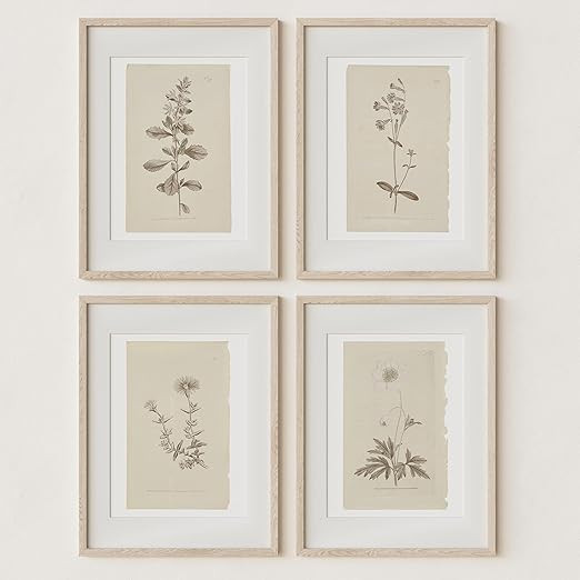 Wall Art Botanical Plant Prints | Vintage Flower Boho Minimalist Floral Artwork Decor for Bedroom... | Amazon (US)