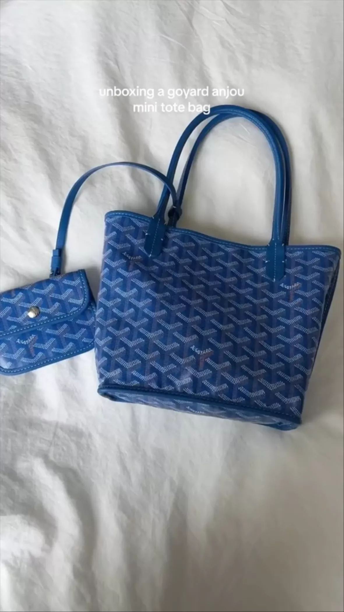 Goyard, Bags, Goyard Anjou Mini Blue