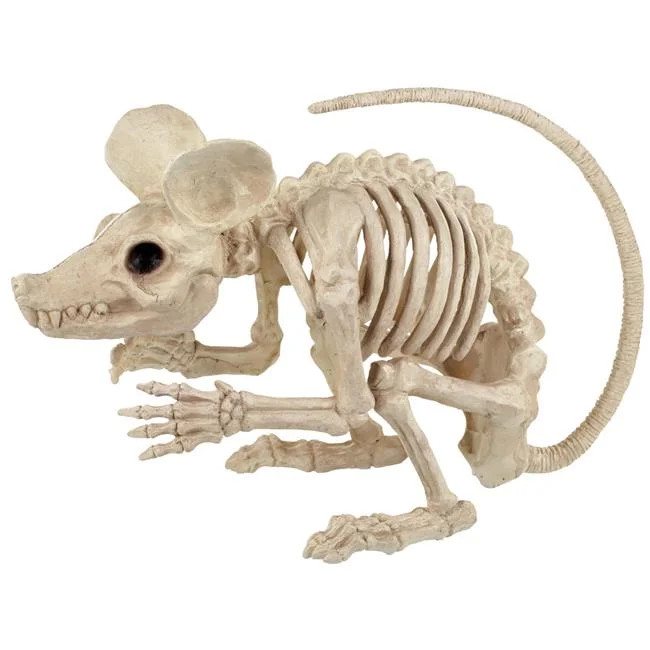 Rat Attack Giant Skeleton Rat Halloween Decoration, 20 Inches | Walmart (US)