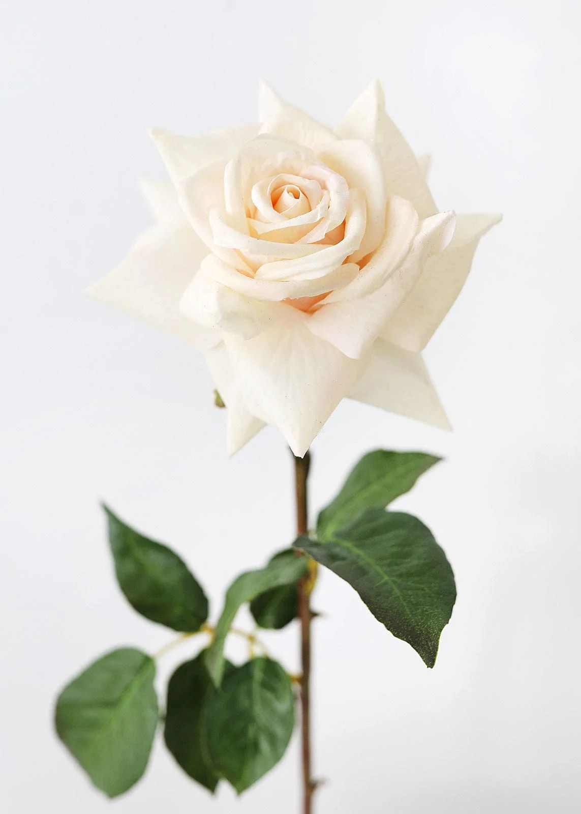 Shop Real Touch Flowers | Blush Dutchess Rose | Afloral.com | Afloral