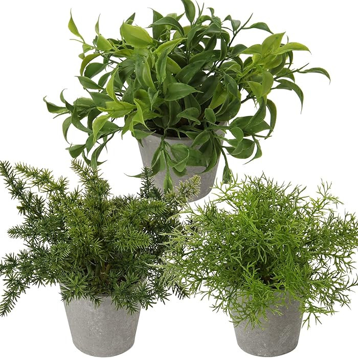 Briful 3PCS Fake Plants Potted Artificial Plants Greenery Faux Fern Eucalyptus Décor Plant for I... | Amazon (US)