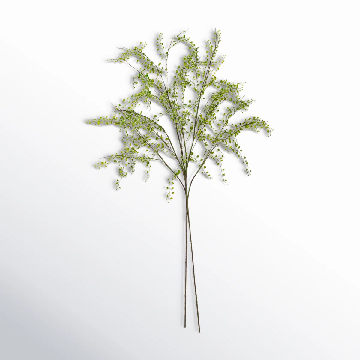 Leaves Arrangement | Wayfair North America