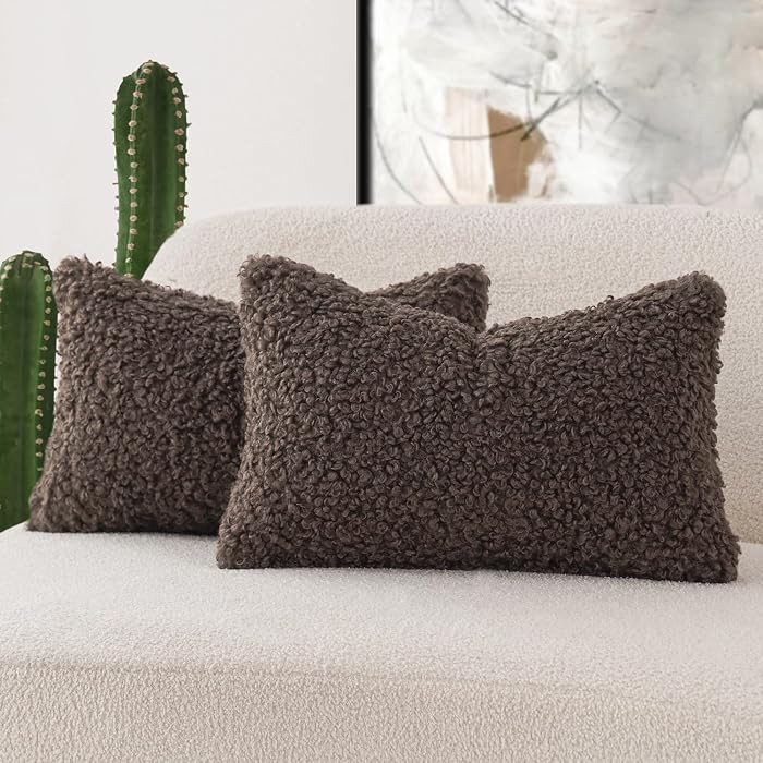 Foindtower Set of 2 Curly Teddy Wool Pillow Covers Decorative Boucle Textured Lumbar Throw Pillow... | Amazon (US)