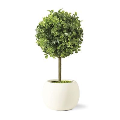 Outdoor Tabletop Boxwood Topiary | Frontgate