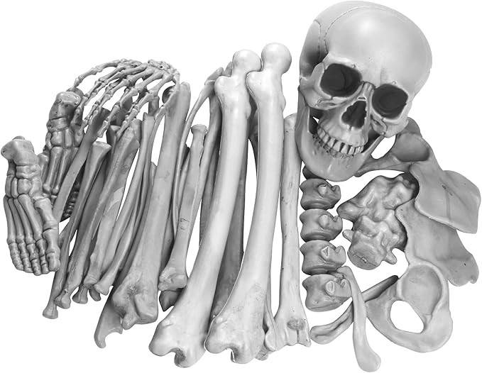 35 Pieces Skeleton Bones for Halloween Decoration - Plastic Bones Scary Props Decoration for Life... | Amazon (US)