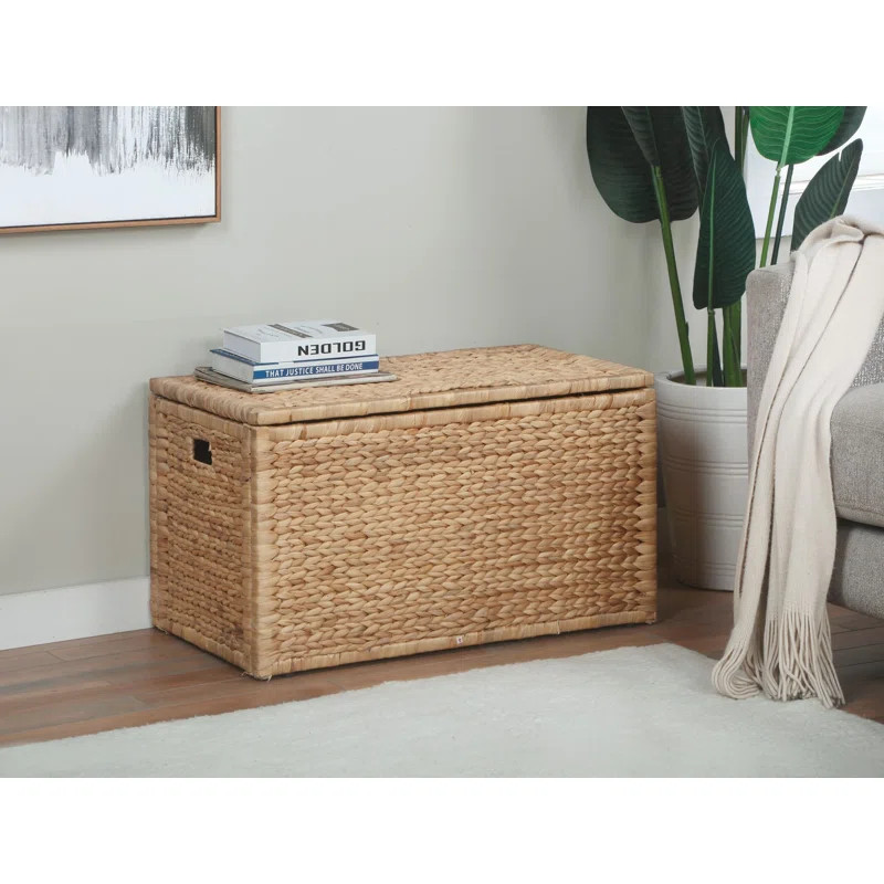 Ved Heavy-duty Water Hyacinth Wicker Storage Trunk with Metal Frame | Wayfair Professional