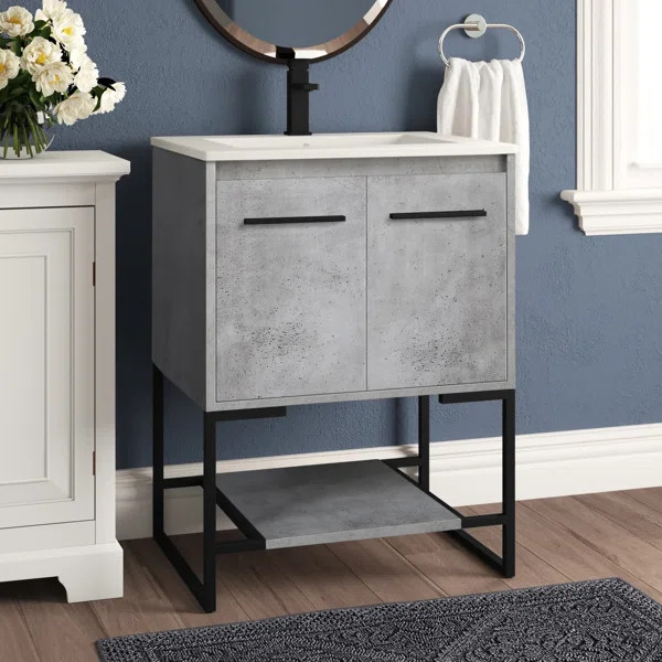 Wittig 24" Single Bathroom Vanity Set | Wayfair North America