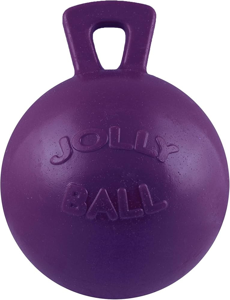 Horsemen's Pride 10" Horse Jolly Ball Purple | Amazon (US)