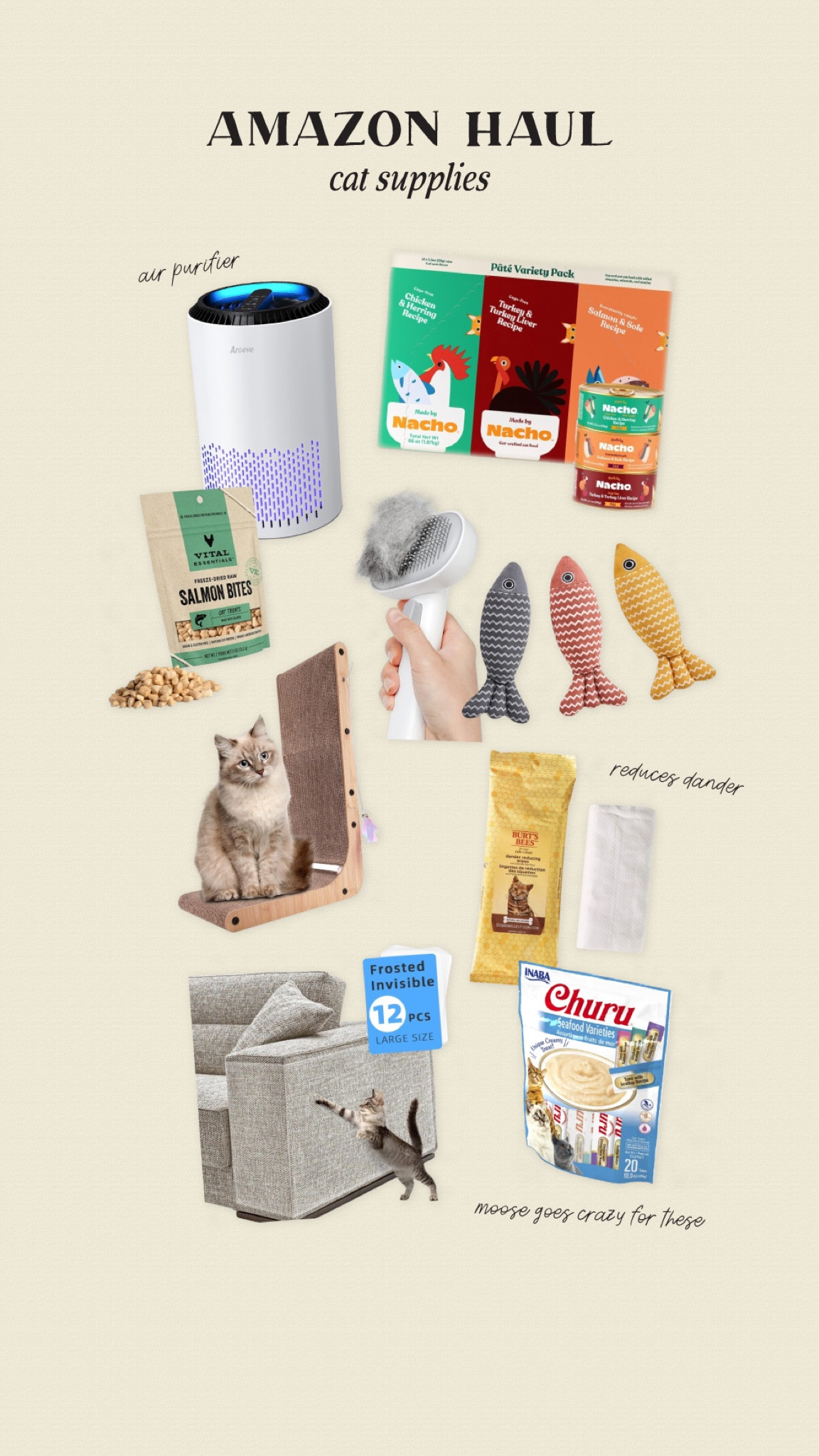 recent amazon orders: cat supplies! 