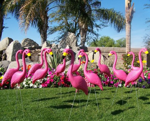 30 Large Premium Pink Yard Flamingos | Amazon (US)