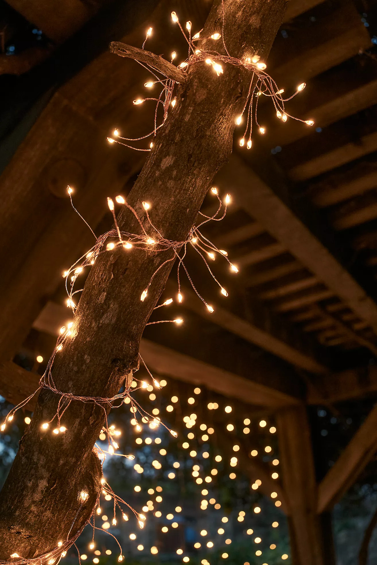 Stargazer Climbing Vine Garland | Anthropologie (US)