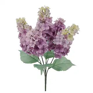 Purple Cone Hydrangea Bush by Ashland® | Michaels Stores