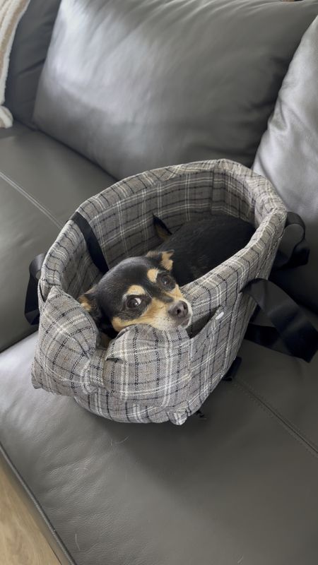 Doggie car seat on Amazon prime day deal! I loved the print of this Ken and it’s the perfect size for Kiwi. Dog car seat, console seat for dogs. 

#LTKxPrime #LTKGiftGuide #LTKHolidaySale