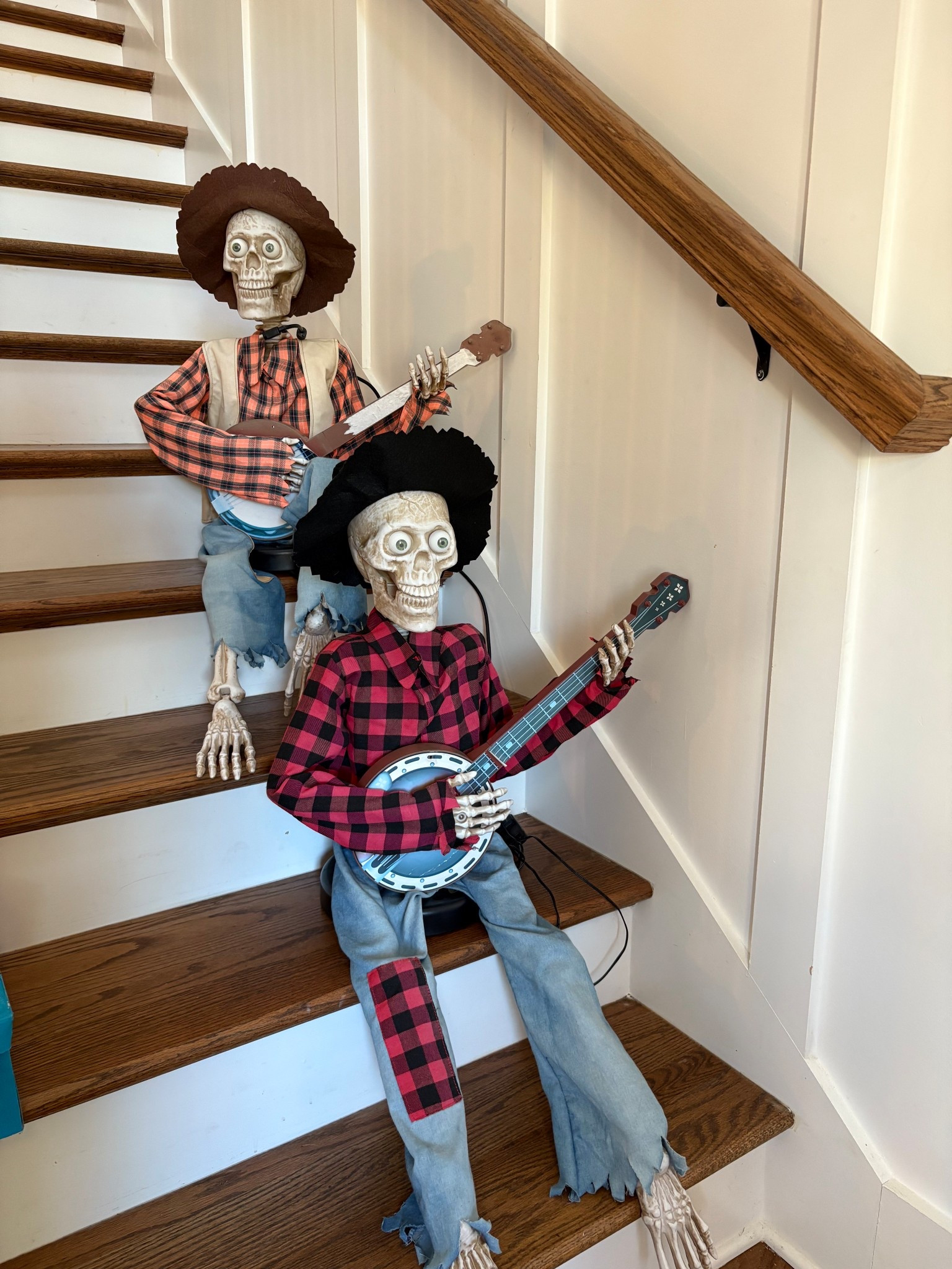 We’ve had these for 5 years and they have brought us so many giggles every year! Buy them and pack away for next year you’ll be so happy you did! 

#LTKHoliday #LTKFindsUnder50