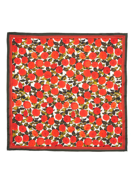 RAREST ROSE SILK SCARF | Robert Graham