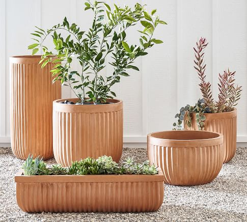 Concrete Fluted Planters | Pottery Barn (US)