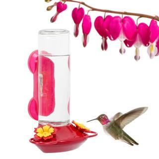 Window Mount Glass Hummingbird Feeder - 14 oz. Capacity | The Home Depot