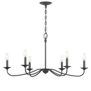 Progress Lighting Pacolet 36 in. 6-Light Textured Black Farmhouse Circle Chandelier for Dining Ro... | The Home Depot