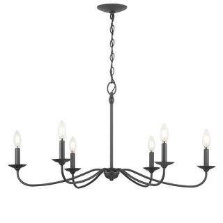 Progress Lighting Pacolet 36 in. 6-Light Textured Black Farmhouse Circle Chandelier for Dining Ro... | The Home Depot