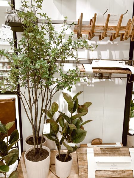 Beautiful faux tree— simply place it in your favorite basket for an instant cottage farmhouse spring vibe. 

#LTKFind #LTKhome #LTKSeasonal