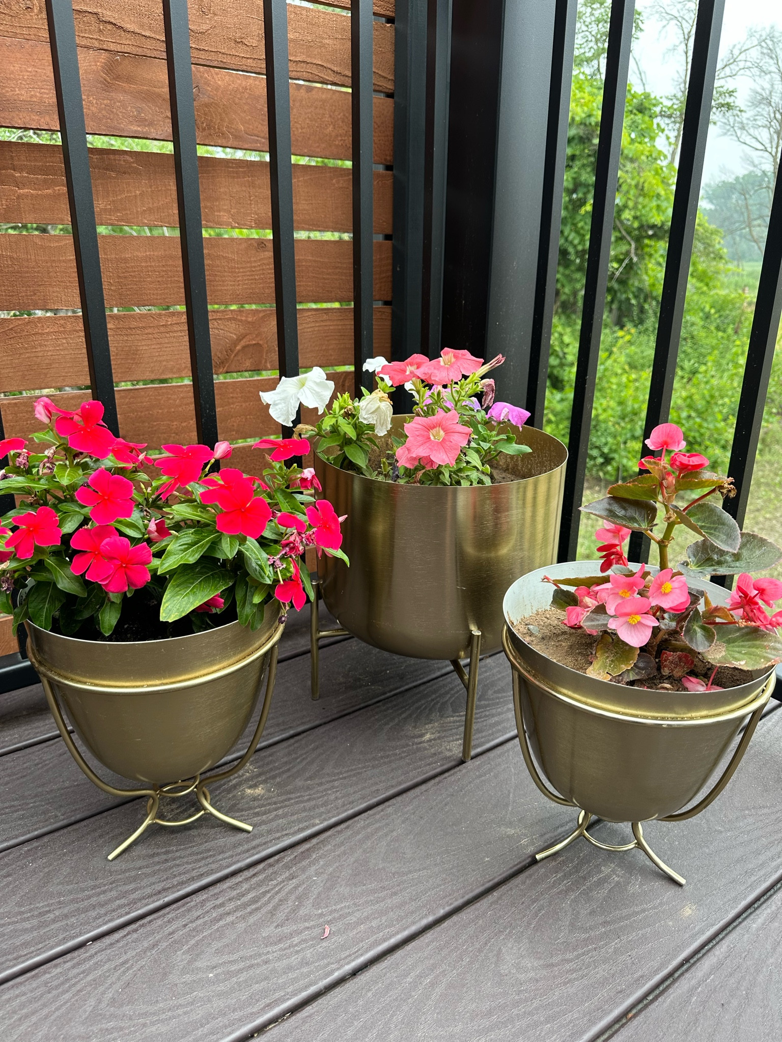 Brass stand planter

#LTKFind #LTKunder100 #LTKhome